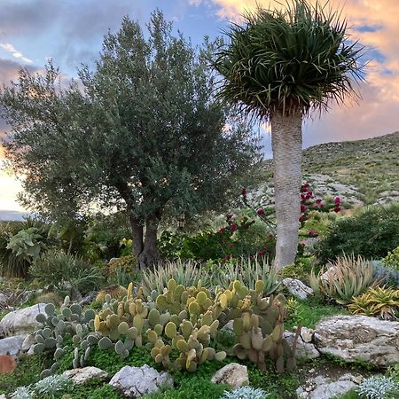 Casa Balata Farm House Realmonte Εξωτερικό φωτογραφία