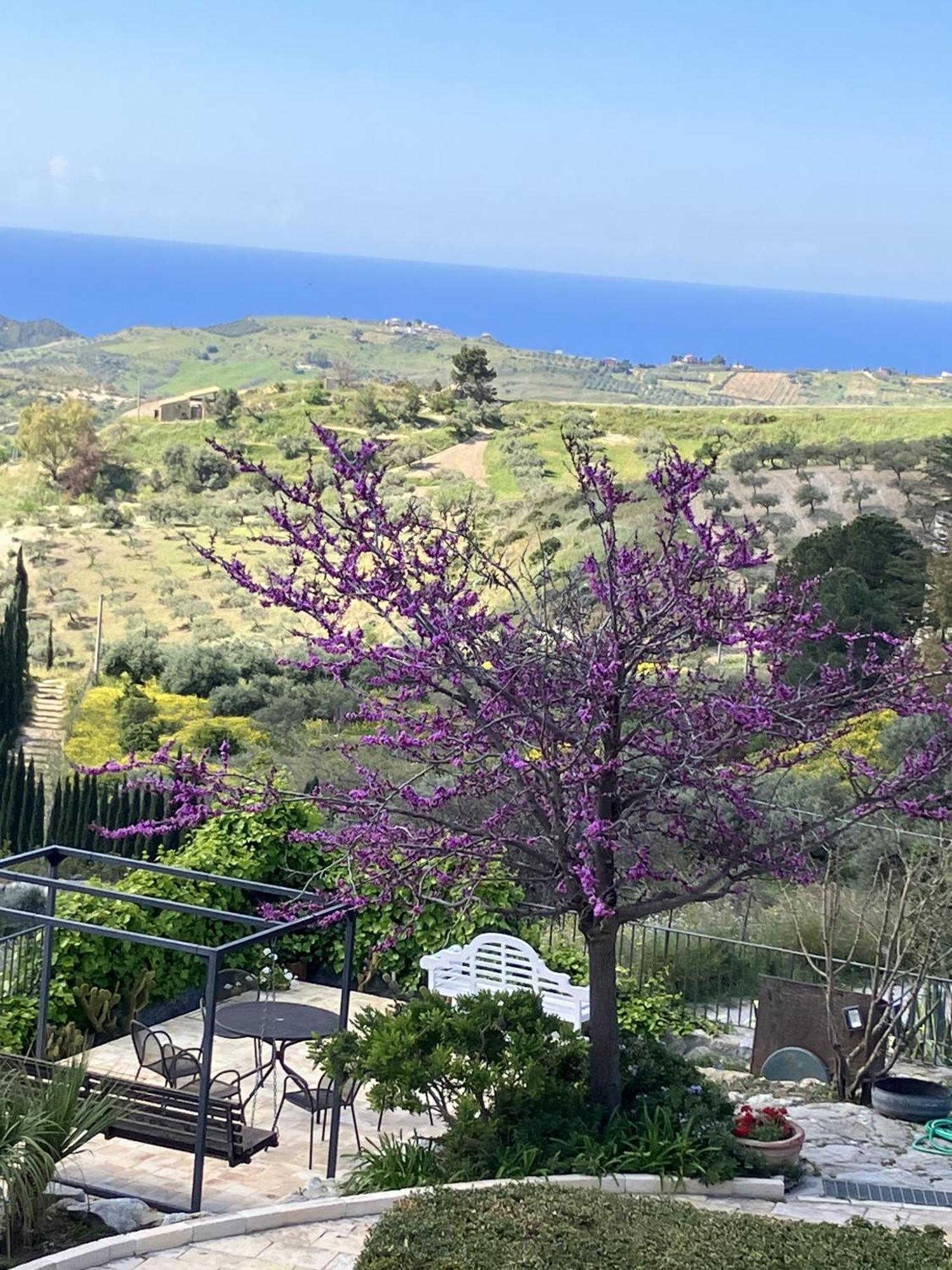 Casa Balata Farm House Realmonte Εξωτερικό φωτογραφία