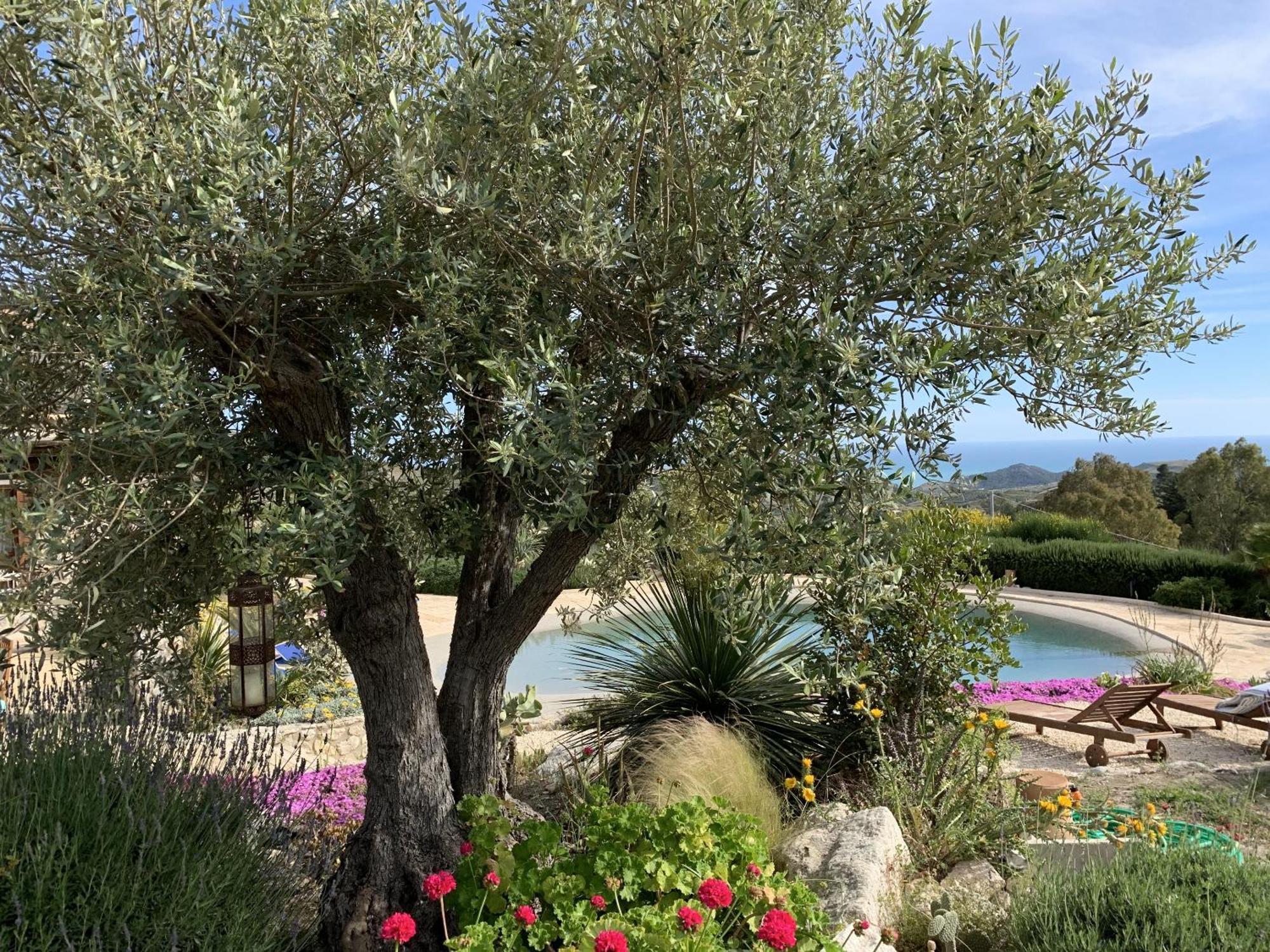 Casa Balata Farm House Realmonte Εξωτερικό φωτογραφία