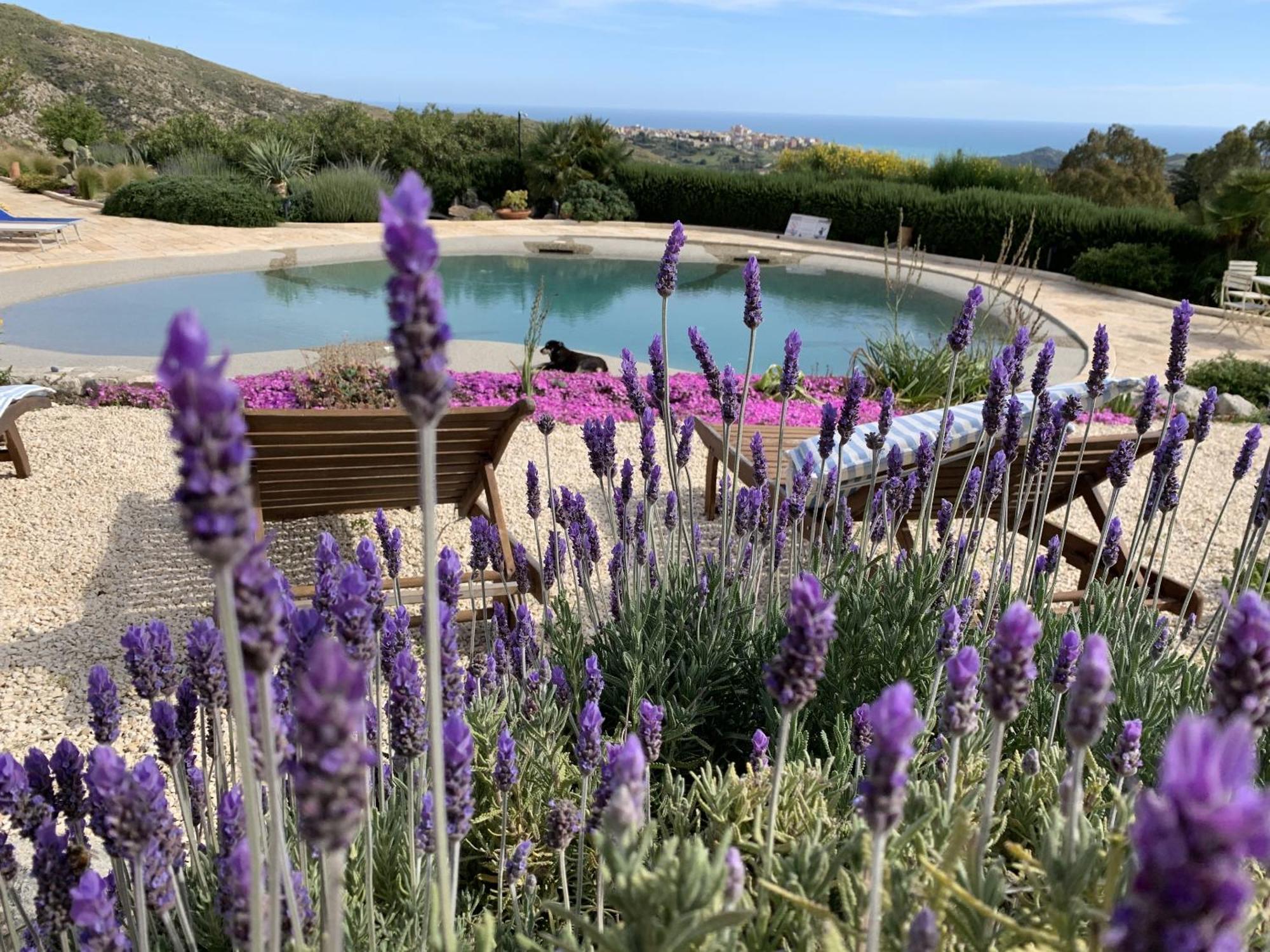 Casa Balata Farm House Realmonte Εξωτερικό φωτογραφία