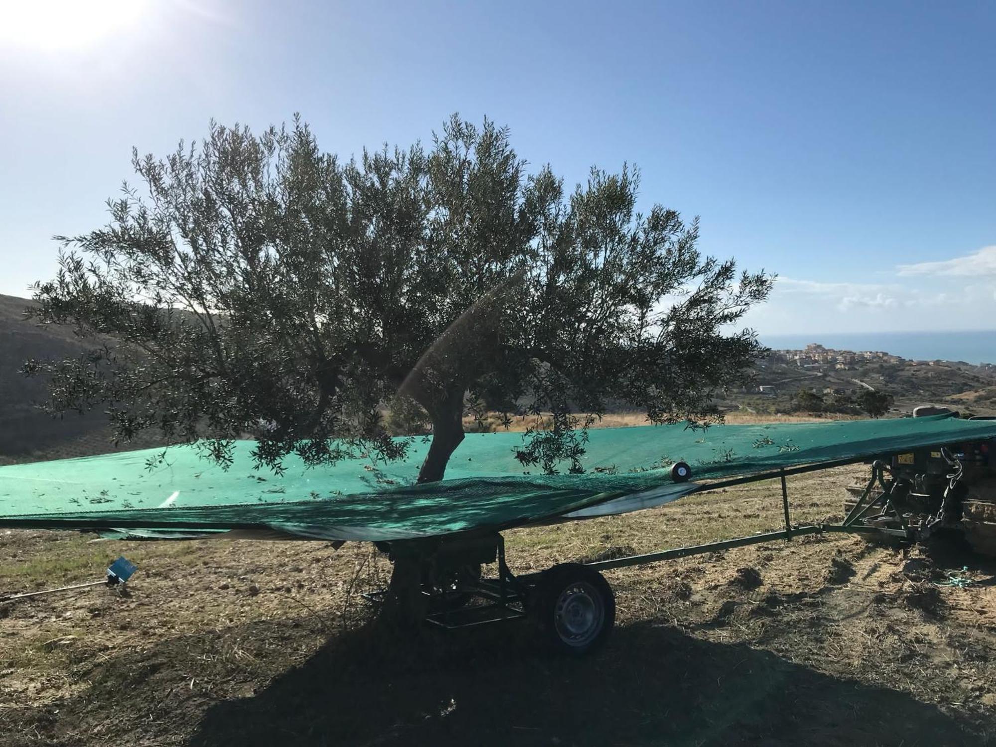 Casa Balata Farm House Realmonte Εξωτερικό φωτογραφία