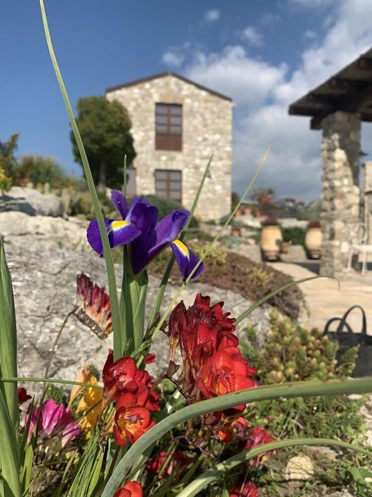 Casa Balata Farm House Realmonte Εξωτερικό φωτογραφία