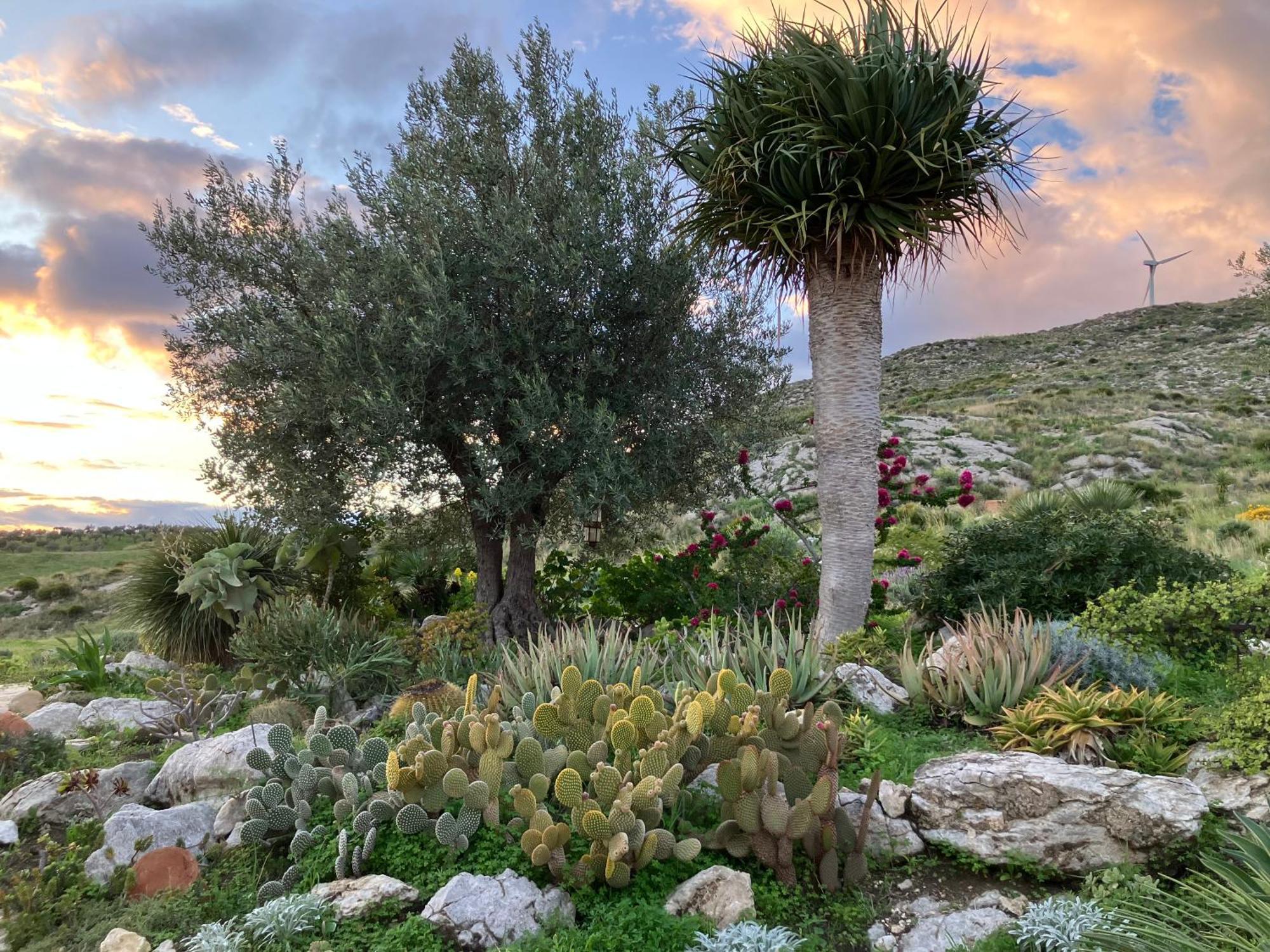 Casa Balata Farm House Realmonte Εξωτερικό φωτογραφία