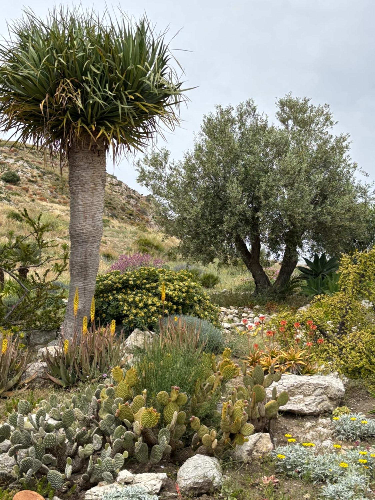 Casa Balata Farm House Realmonte Εξωτερικό φωτογραφία